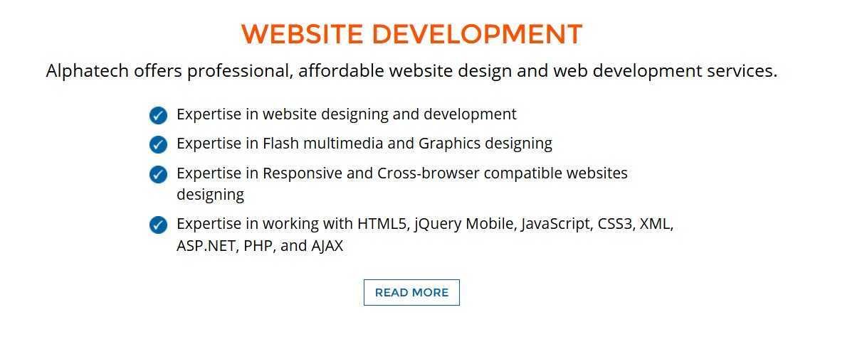 Alphatech Website Development service overview